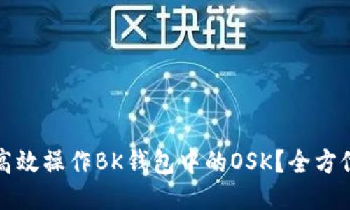 如何高效操作BK钱包中的OSK？全方位指南