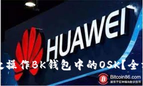 如何高效操作BK钱包中的OSK？全方位指南