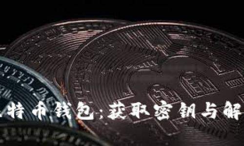 怎样找回丢失的比特币钱包：获取密钥与解决方案的完整指南