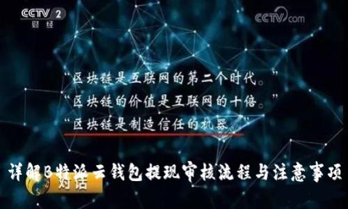 详解B特派云钱包提现审核流程与注意事项