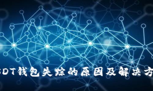USDT钱包失踪的原因及解决方案