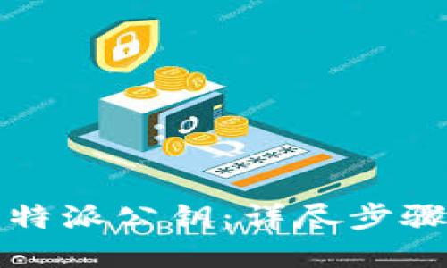 如何查看比特派公钥：详尽步骤与实用技巧