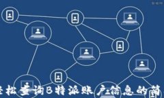 如何轻松查询B特派账户信息的简单方法