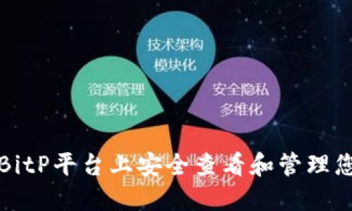 如何在BitP平台上安全查看和管理您的密钥