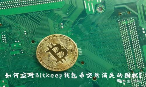 如何应对BitKeep钱包币突然消失的困扰？