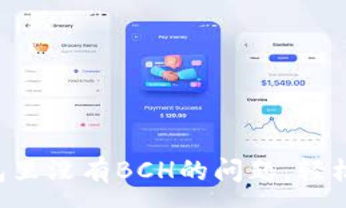 :
如何解决B特派钱包里没有BCH的问题，轻松找回你的数字资产