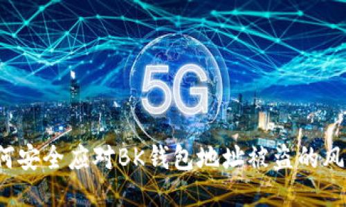 如何安全应对BK钱包地址被盗的风险？