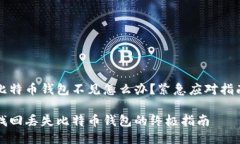 比特币钱包不见怎么办？紧急应对指南找回丢失