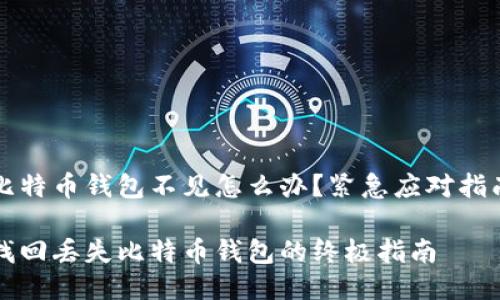 比特币钱包不见怎么办？紧急应对指南

找回丢失比特币钱包的终极指南