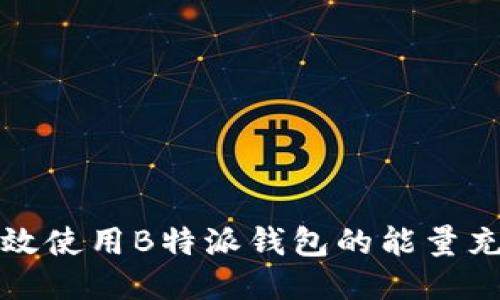 如何高效使用B特派钱包的能量充值功能