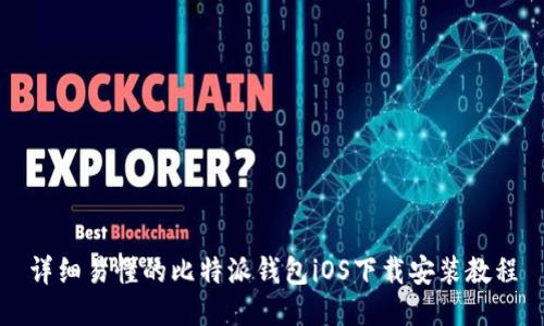 详细易懂的比特派钱包iOS下载安装教程