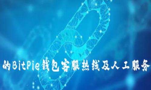 优质的BitPie钱包客服热线及人工服务指南