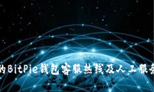 优质的BitPie钱包客服热线及人工服务指南