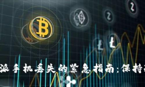 如何应对比特派手机丢失的紧急指南：保持冷静，迅速行动