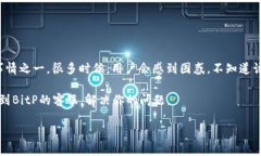 发现BitP客服：如何快速找到并联系他们在数字货