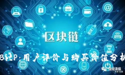 BitP：用户评价与购买价值分析