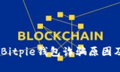 深度剖析：Bitpie钱包诈骗原因及预防措施