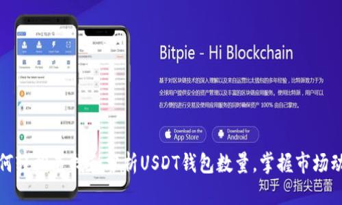 如何轻松查找和分析USDT钱包数量，掌握市场动向
