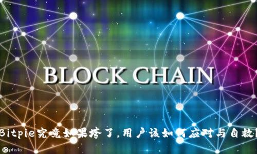 Bitpie究竟如果垮了，用户该如何应对与自救？