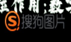 比特币钱包的全方位作用：数字资产安全管理指