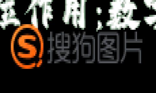 比特币钱包的全方位作用：数字资产安全管理指南