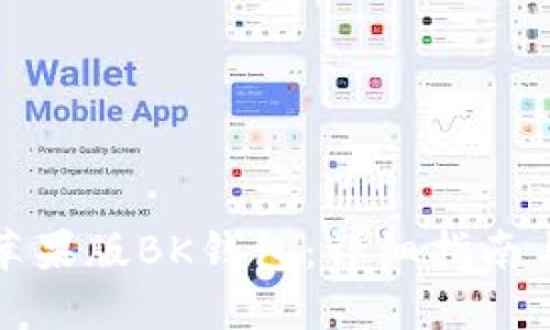 如何下载苹果版BK钱包：详细指南与实用技巧