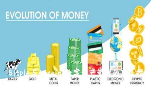 Bitpie与Arcoin：数字资产管理的新选择