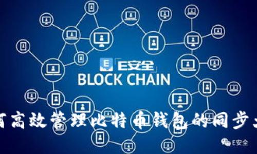 如何高效管理比特币钱包的同步大小