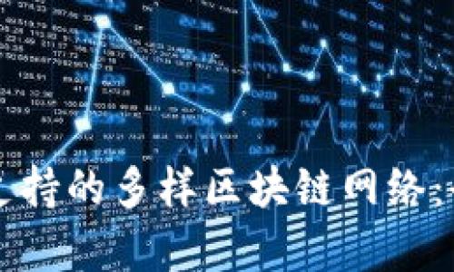 比特派支持的多样区块链网络：全面解析