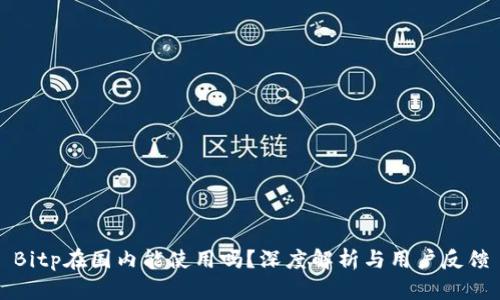 Bitp在国内能使用吗？深度解析与用户反馈