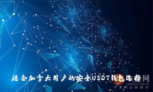 适合加拿大用户的安全USDT钱包选择