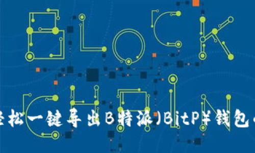 如何轻松一键导出B特派（BitP）钱包的私钥