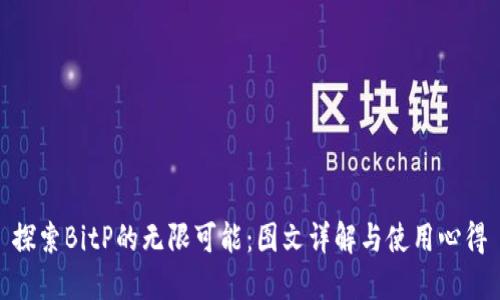 探索BitP的无限可能：图文详解与使用心得