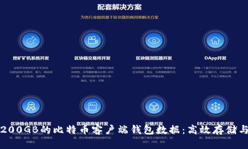 如何管理200GB的比特币客户端钱包数据：高效存储与安全防护