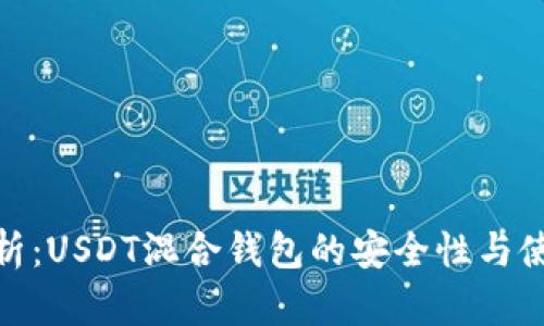 全面解析：USDT混合钱包的安全性与使用体验