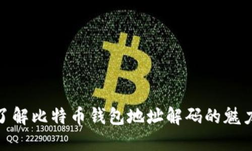 : 轻松了解比特币钱包地址解码的魅力与挑战