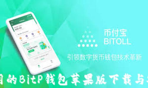 
简单易用的BitP钱包苹果版下载与安装指南