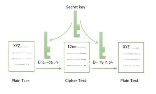 # TP钱包USDT转账成功的图片

## 