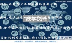   BK钱包升级后的应对策略与使用心得 /  guanjian
