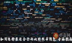   如何选择最适合你的比特股币钱包：全面指南