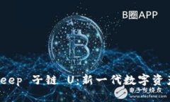 深入探索 Bitkeep 子链 U：新一代数字资产管理解决