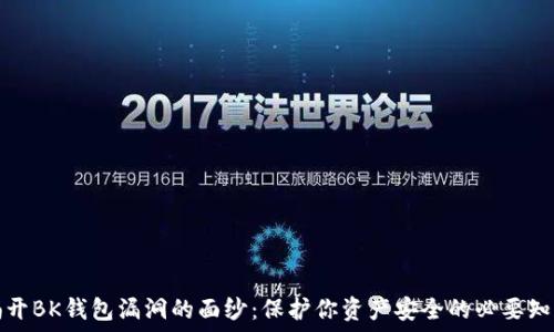  
揭开BK钱包漏洞的面纱：保护你资产安全的必要知识