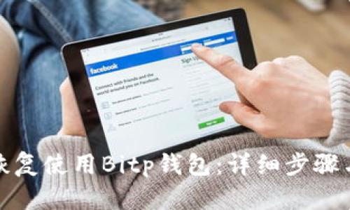 如何顺利恢复使用Bitp钱包：详细步骤与实用技巧