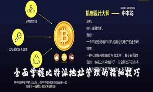 全面掌握比特派地址管理的精细技巧