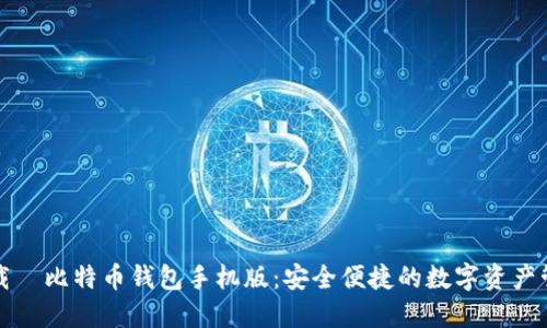轻松下载犇比特币钱包手机版：安全便捷的数字资产管理利器