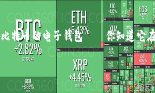 比特币的电子钱包在哪里？全面大揭秘

在这个数字化快速发展的时代，比特币作为一种新型的虚拟货币，已经吸引了越来越多的投资者和普通用户的关注。然而，关于比特币的电子钱包——你知道它在哪里吗？今天，我将带你深入了解比特币电子钱包的种类、功能，以及如何选择和使用它们，帮助你更好地管理你的比特币资产。

比特币电子钱包的全面指南：选择最佳存储解决方案