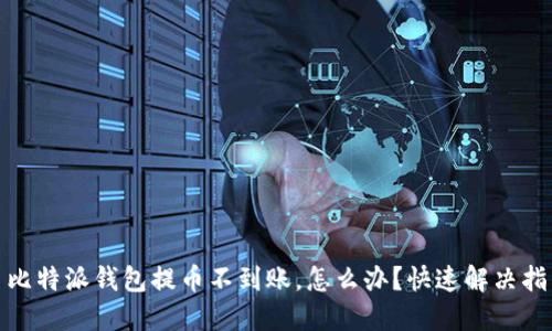 : 比特派钱包提币不到账，怎么办？快速解决指南