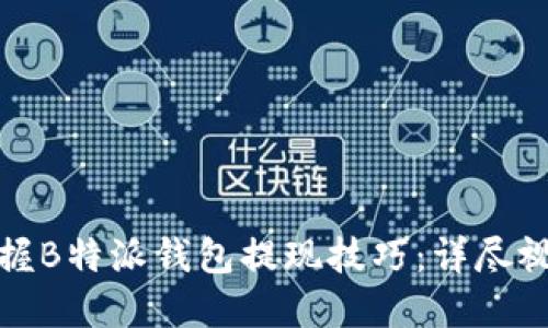 轻松掌握B特派钱包提现技巧：详尽视频教程