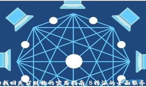 
成功找回失窃财物的实用指南：B特派的全面服务解析