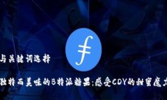 与关键词选择独特而美味的B特派糖果：感受CDY的
